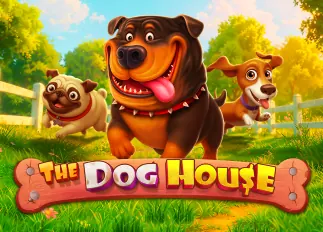 adam ล่าสุด The Dog House